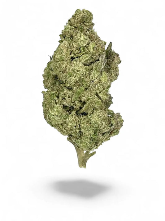 Gush Mintz THCa Light Dep. Flower