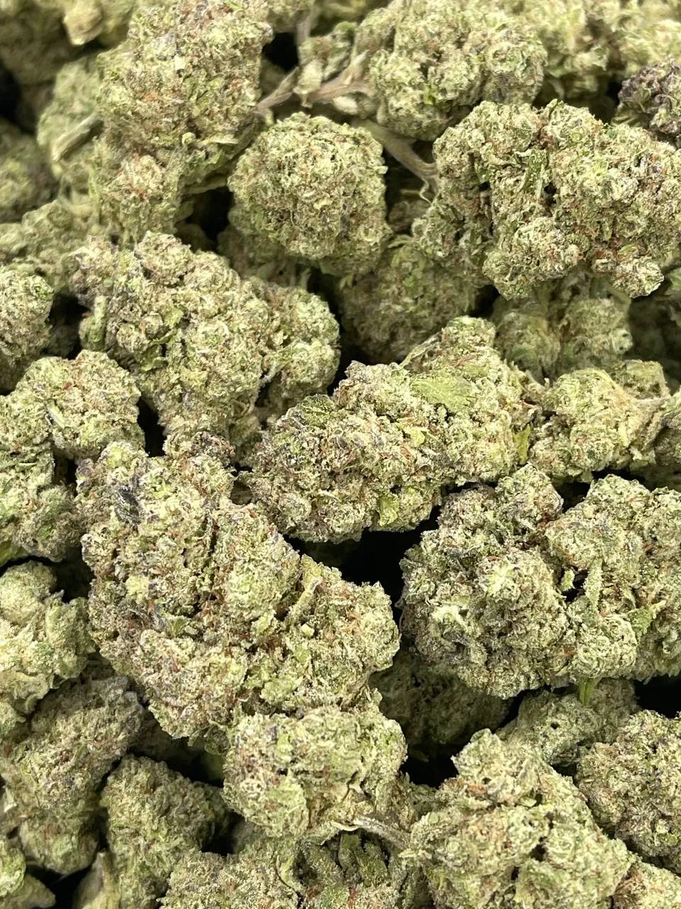 Gush Mintz THCa Light Dep. Flower