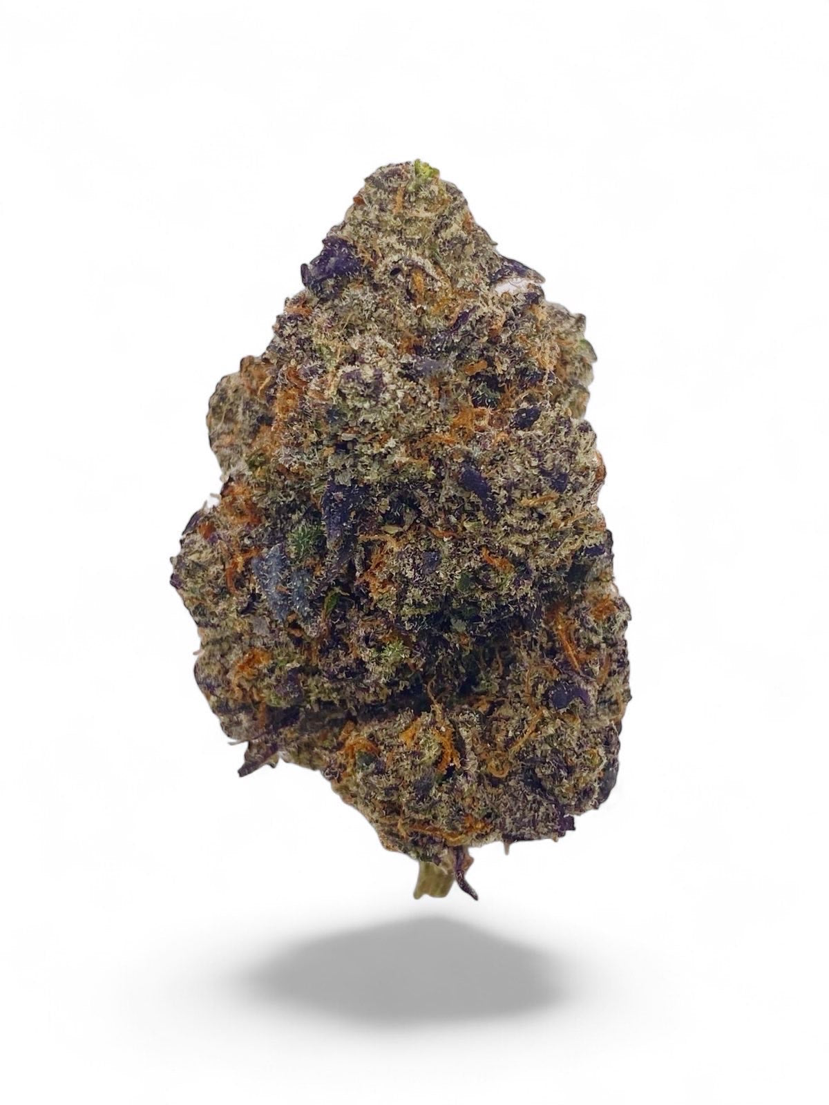 Bulk buy special