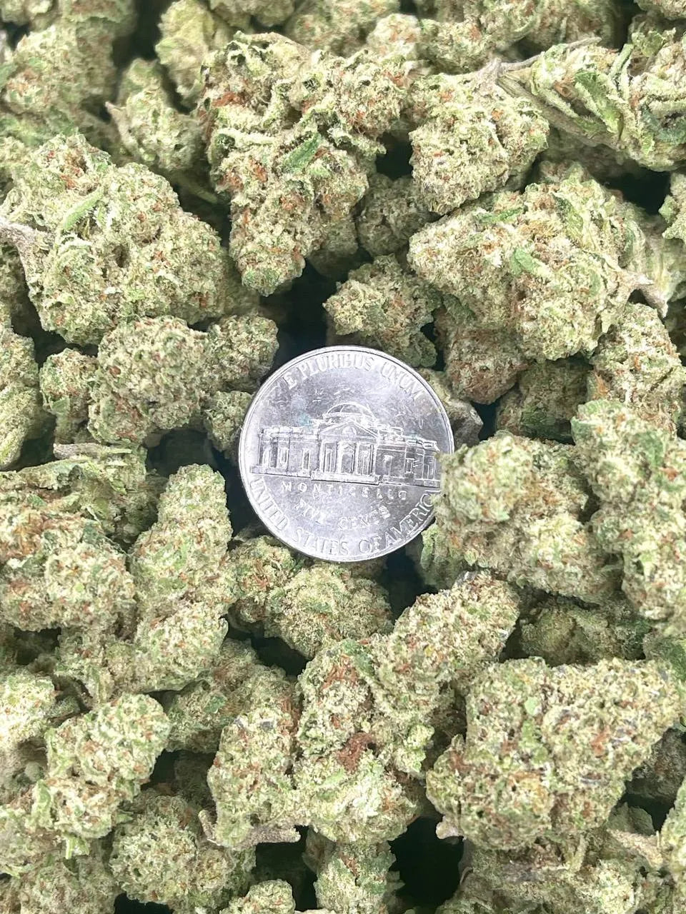 Early Buyer Bonus: Light Dep. Smalls THCa.