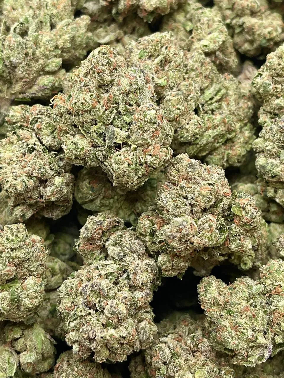 Runtz THCa Light Assist Flower