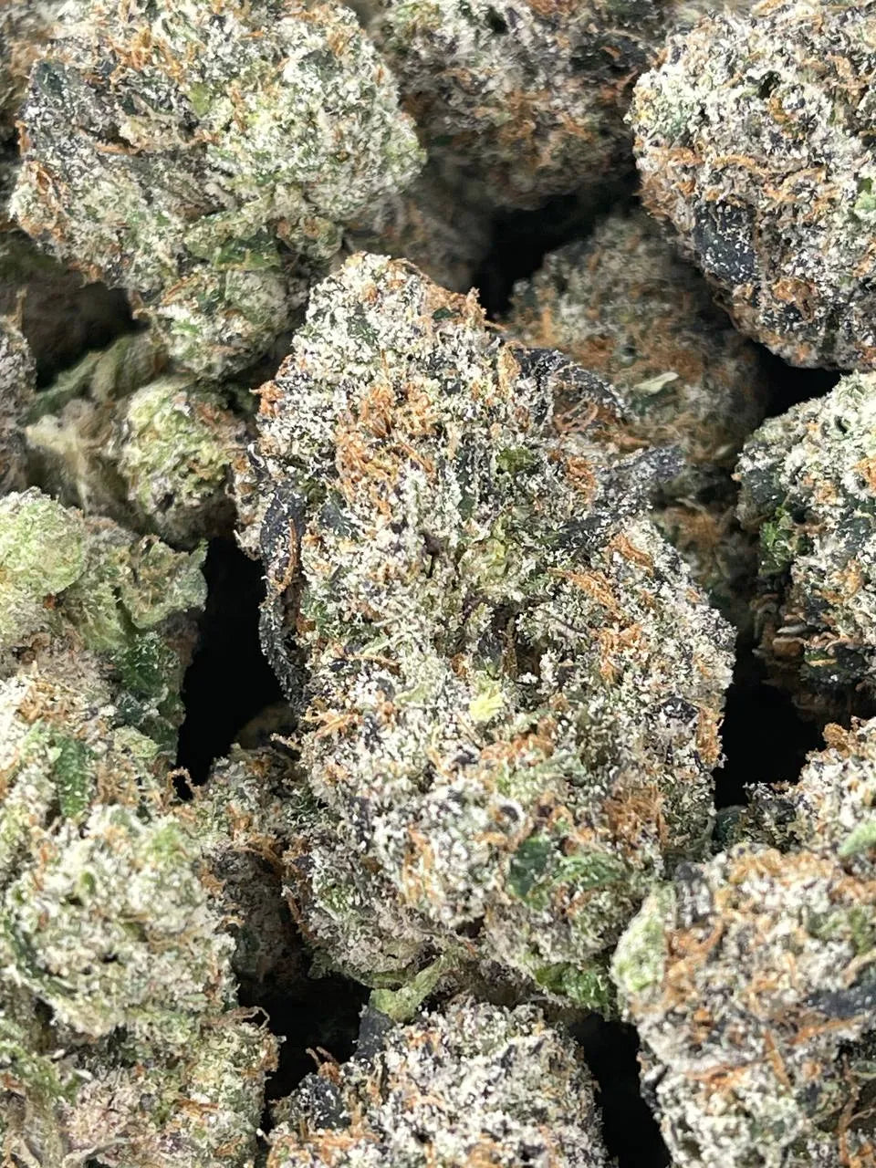 Velvet Cookies THCa Indoor Flower