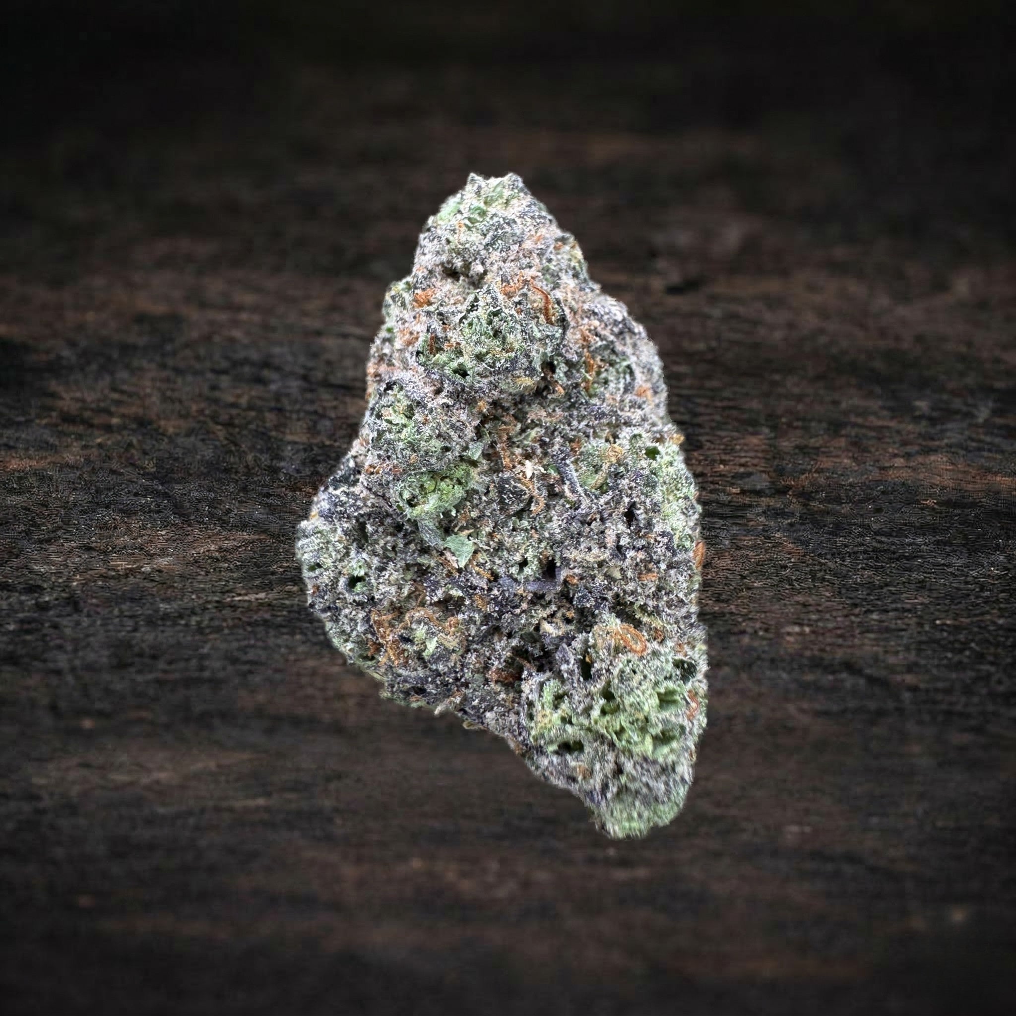 Value Indoor – Sygil Exotics