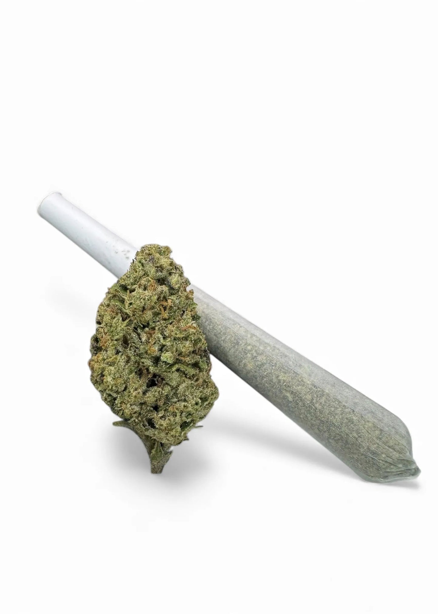 Light Dep. Pre-Rolls Box of 100