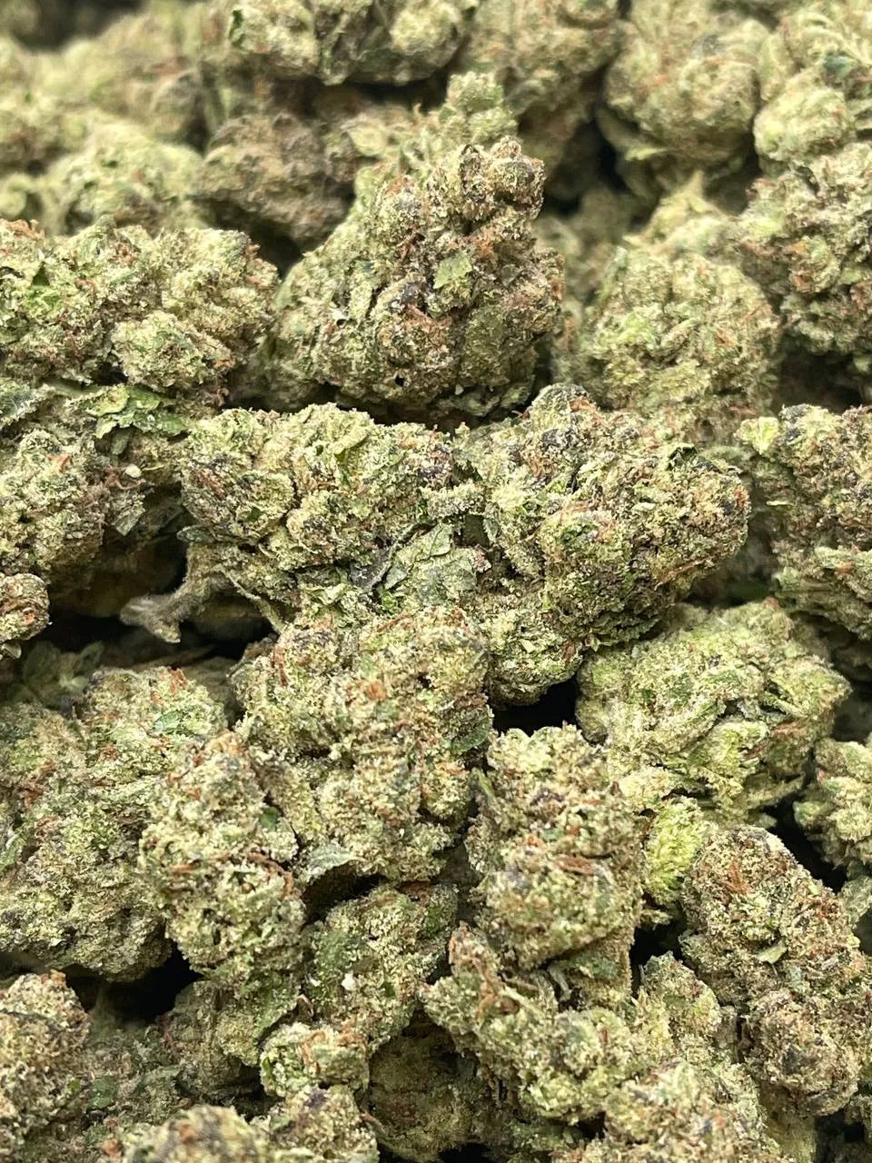 Blackberry Gelato THCa Light Dep. Flower