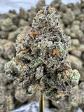 Blue Dream