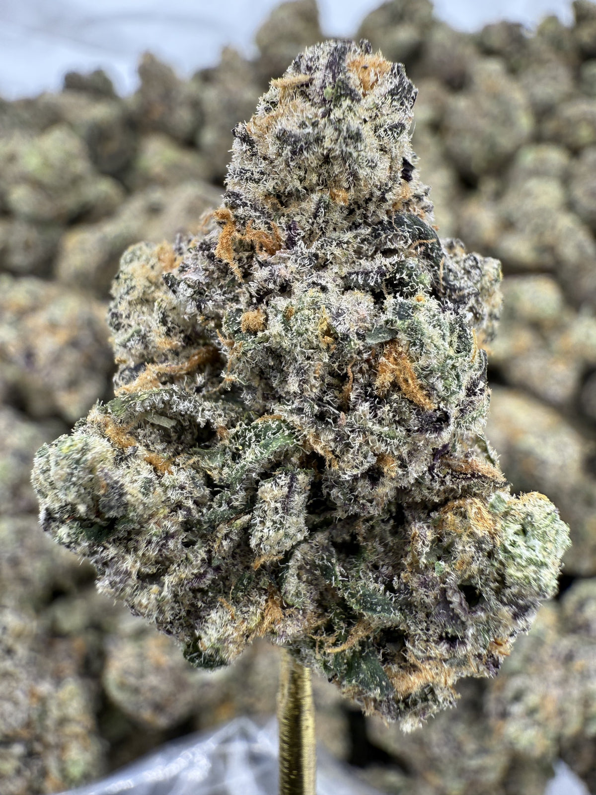 Blue Dream