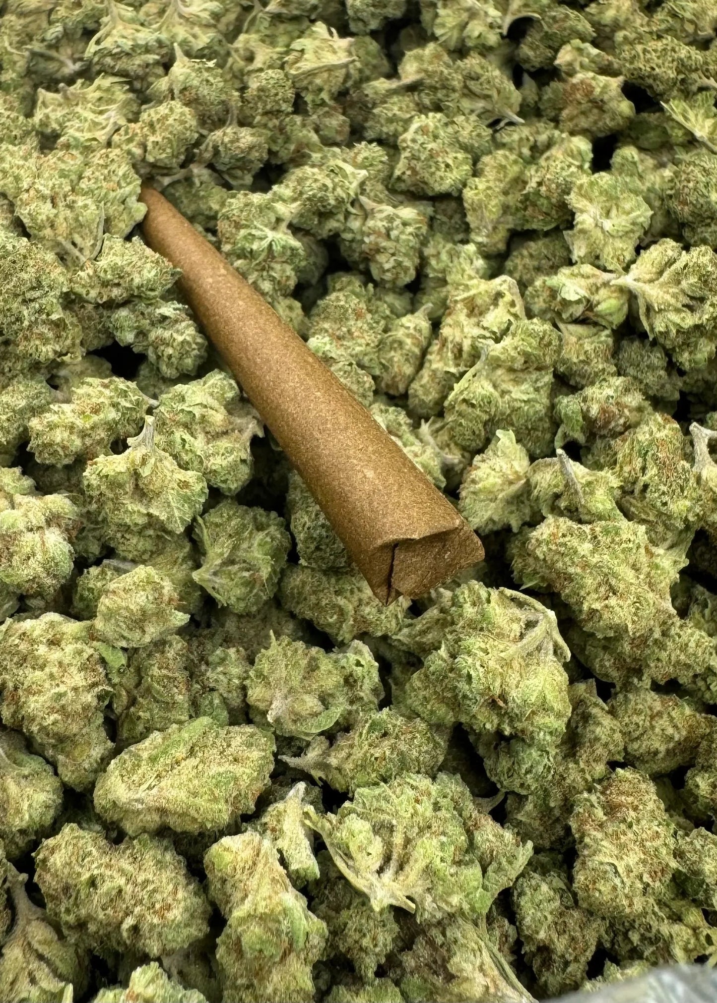 Indoor Blunts Box of 100