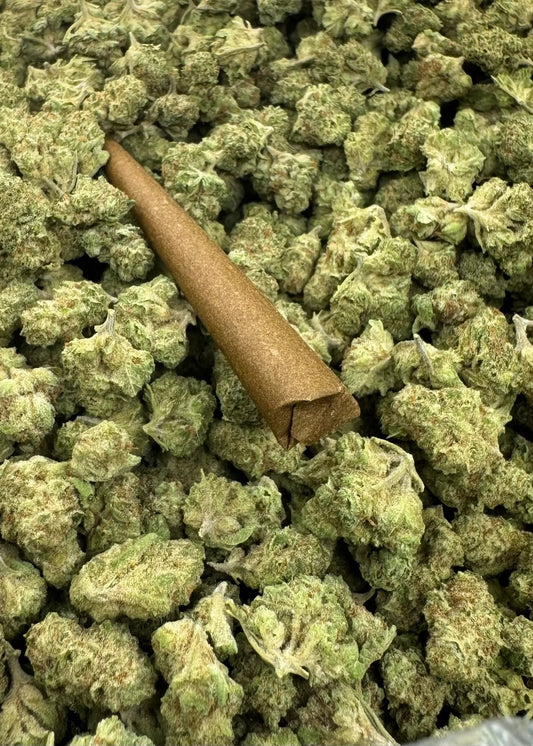 Light Dep. Blunts Box of 100