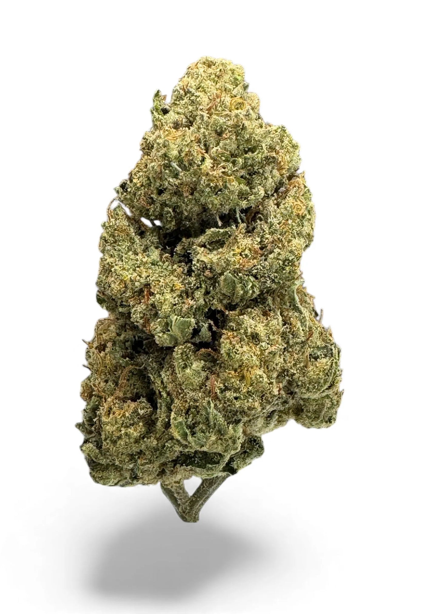 Cheetah Piss THCa Sun-grown Flower