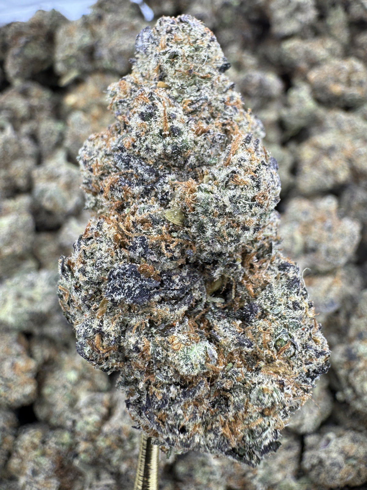 Cap Junkie – Potent Exotic Hybrid Strain