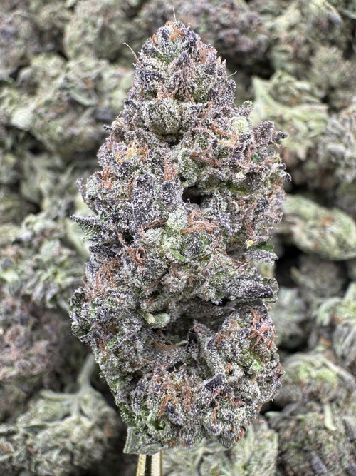 Crunch Berries Strain – Sweet Berry Cereal Flavor