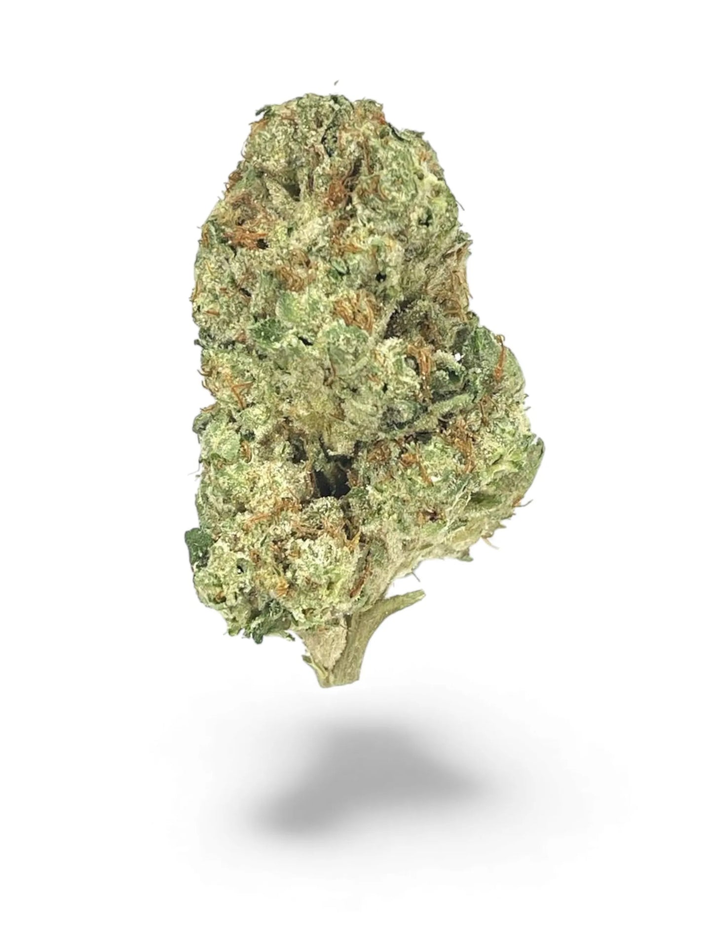 Double Baked Cookies THCa Light Assist Flower