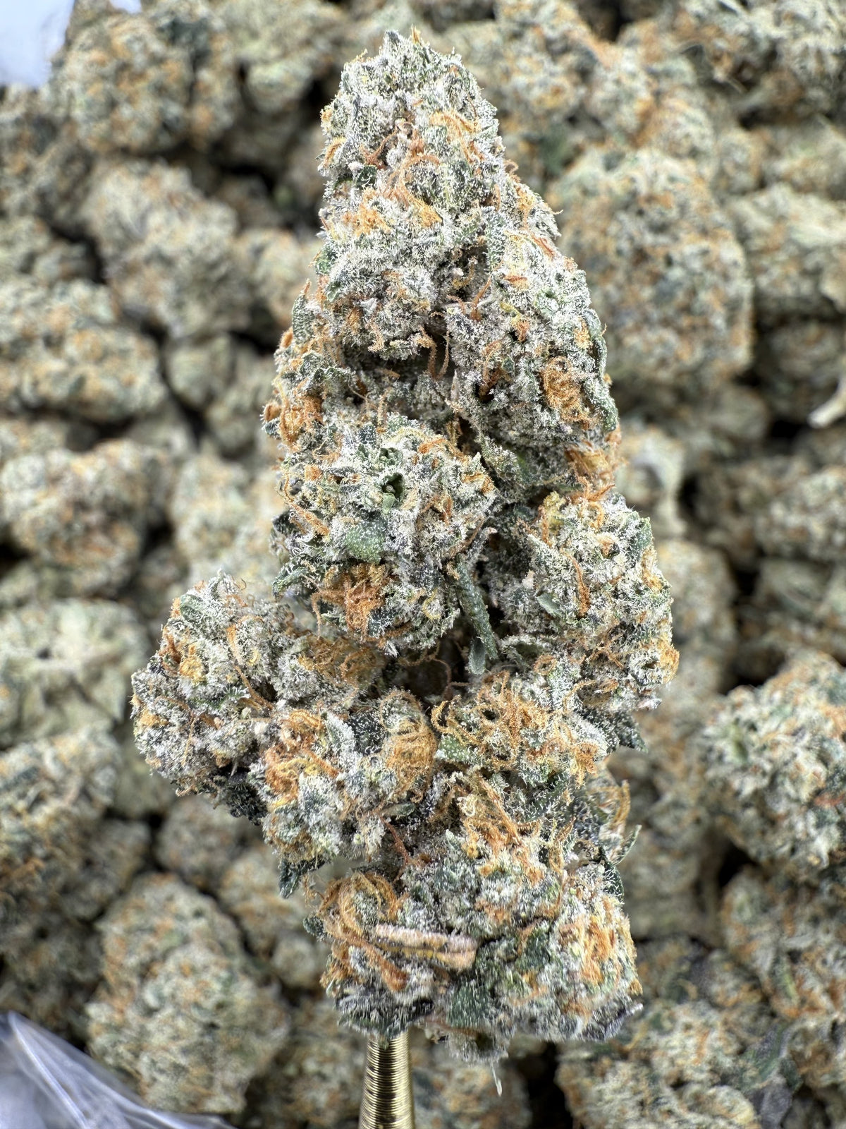 Double OG Sour Diesel