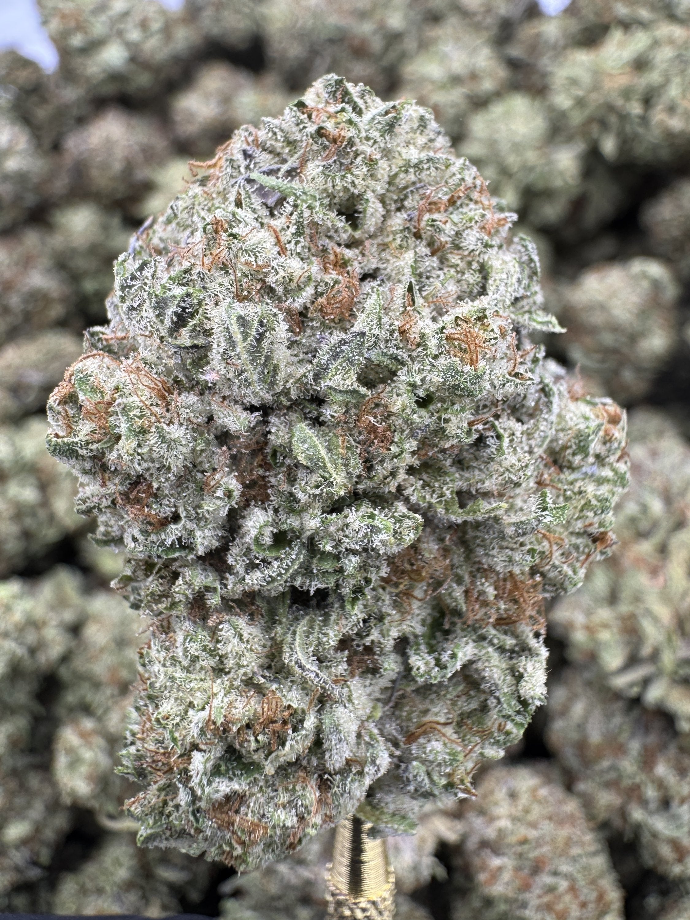 Double Stuffed Strain – Creamy Cookie Dessert Flavor
