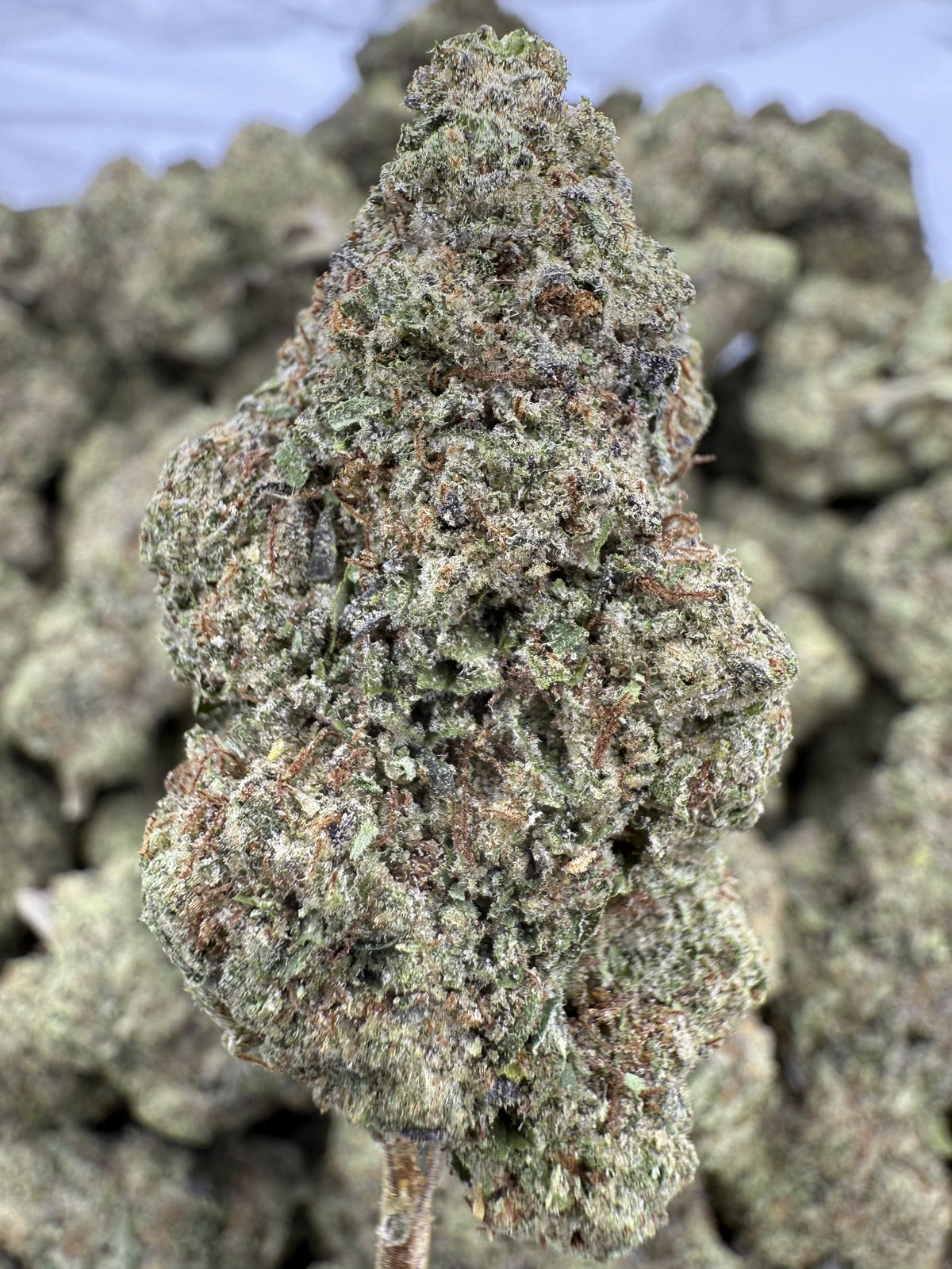 Face Off OG