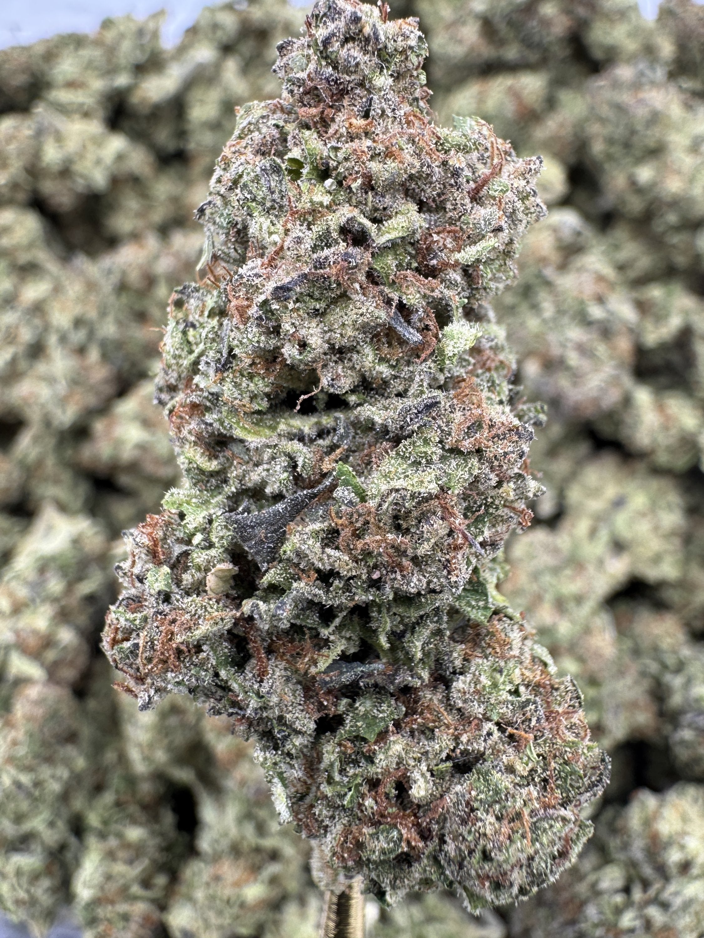 Fruity Pebbles