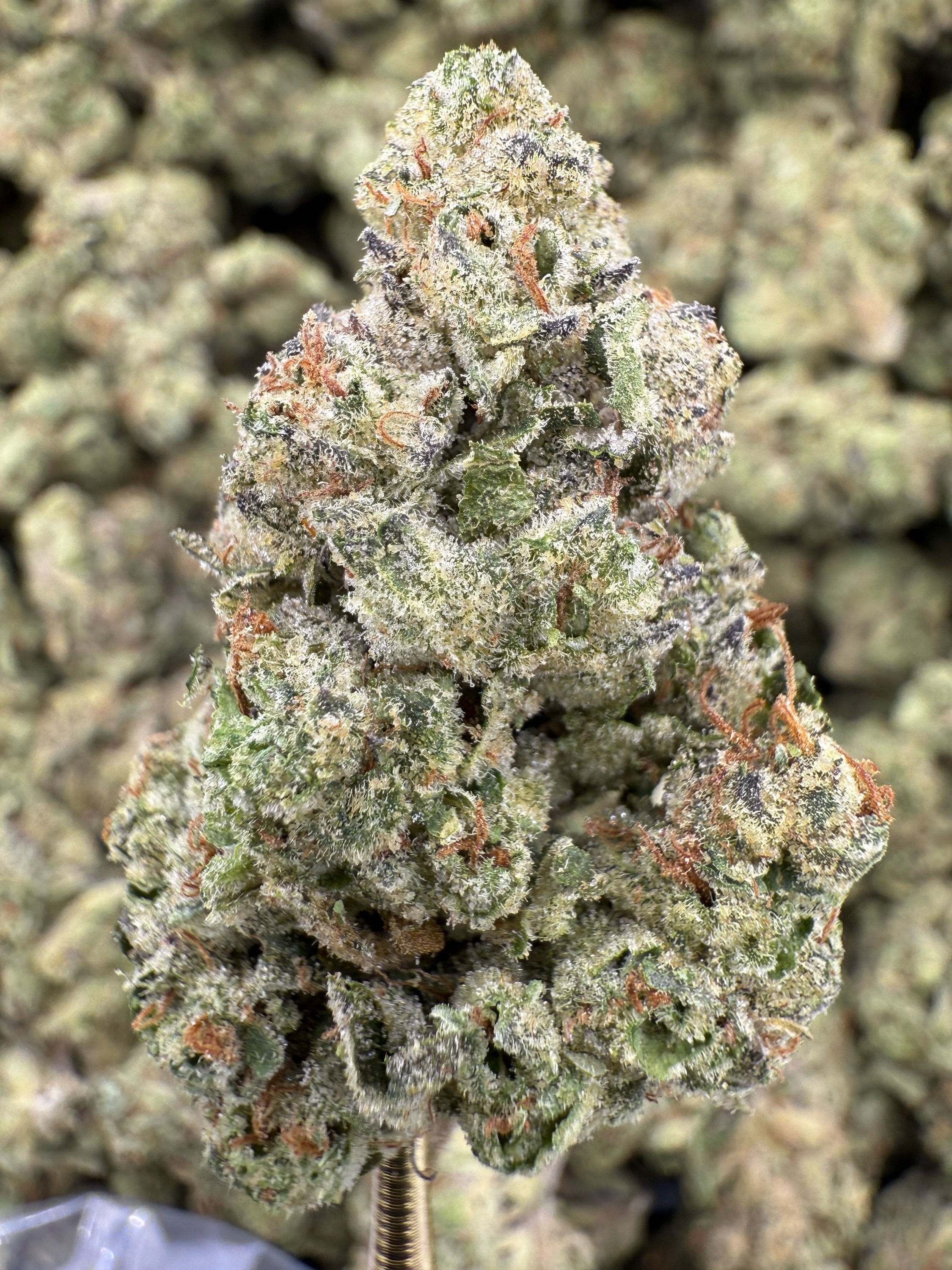 GMO Cookies