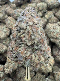 Gelato King