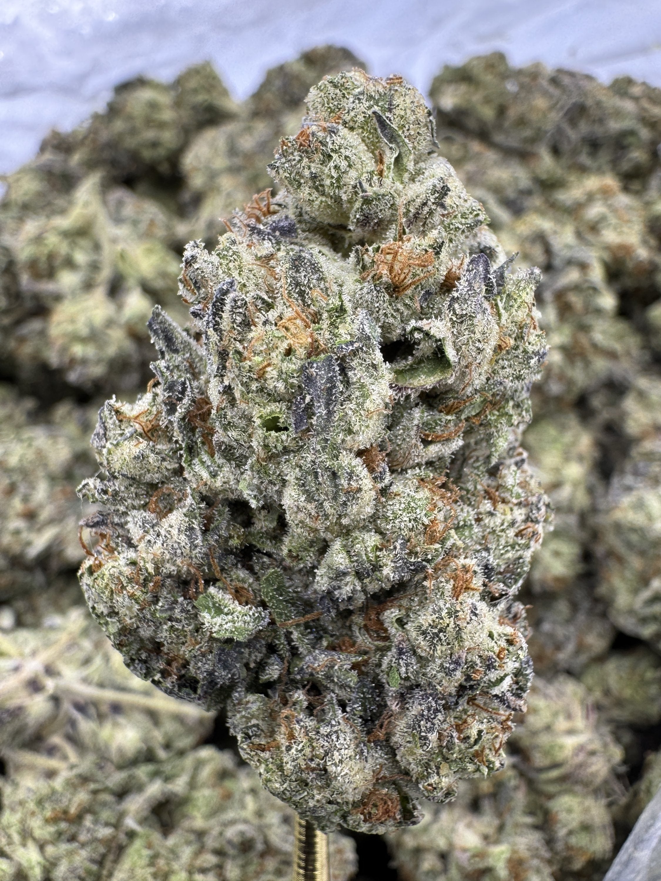 Gelato King Premium Smooth Flavor Product Online
