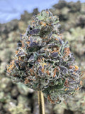 Gelatti Cake Strain – Sweet Creamy Hybrid Profile