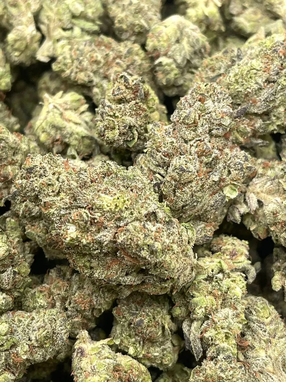 Government Oasis THCa Light Dep. Flower