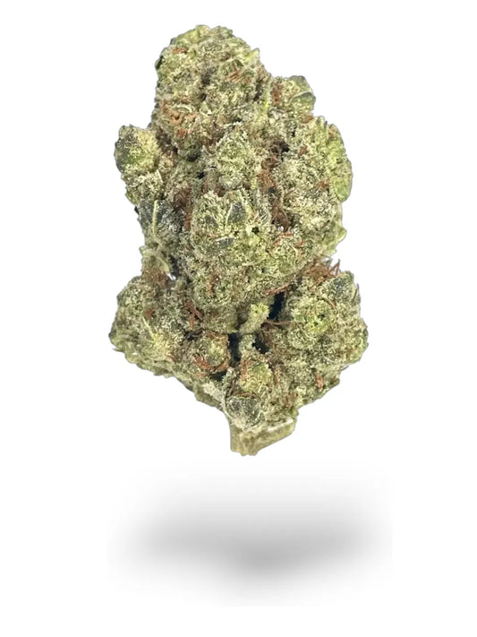 Government Oasis THCa Light Dep. Flower