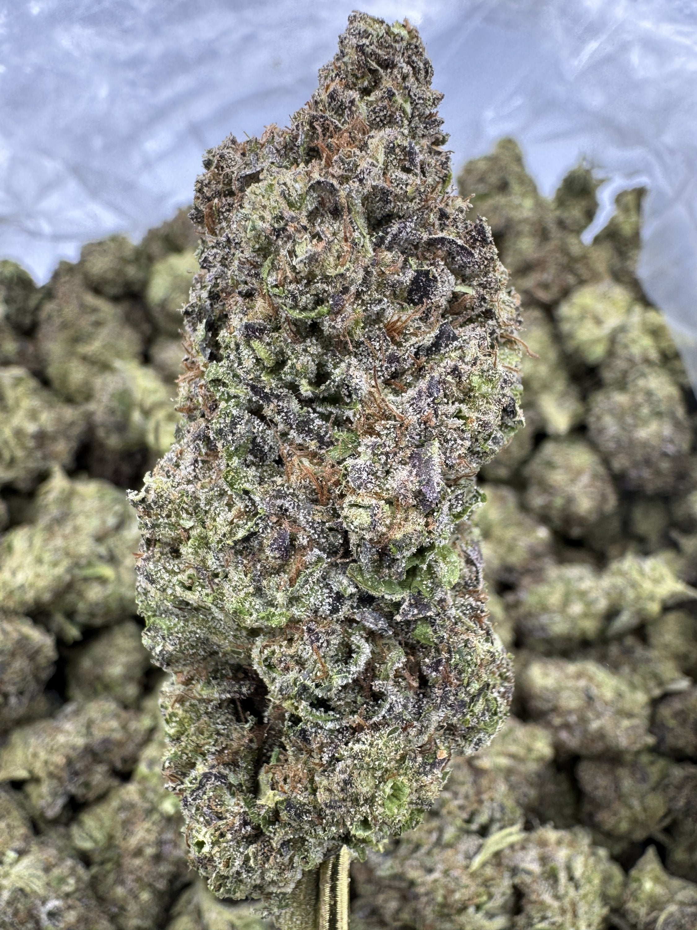 Hash Burger