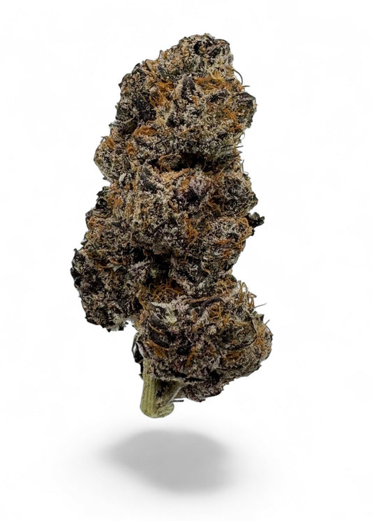 Peanut Butter Apricot Mimosa THCa indoor flower
