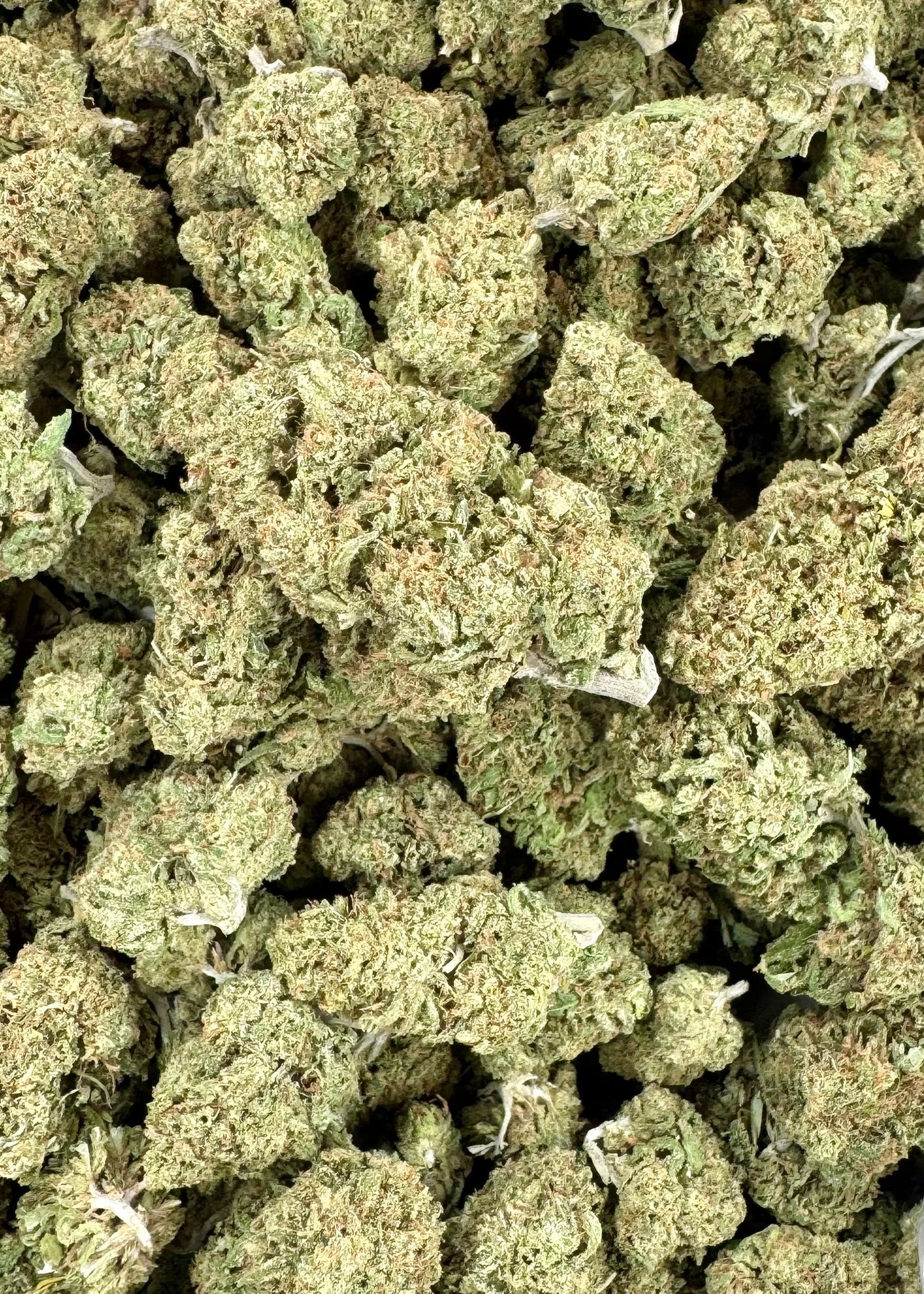 Blue Dream THCa Sun-grown Flower