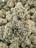 Jack Herer