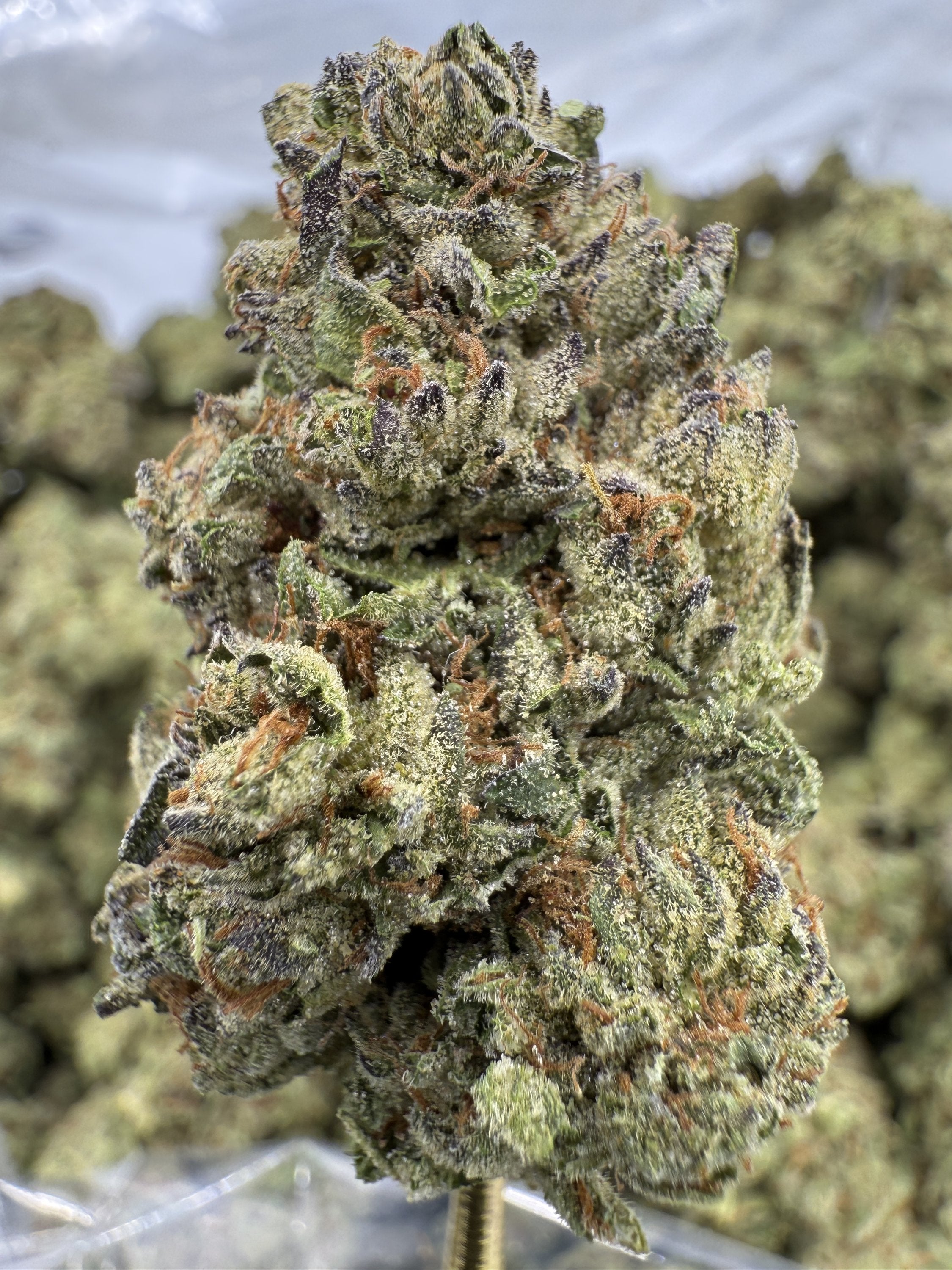Jelly Roll