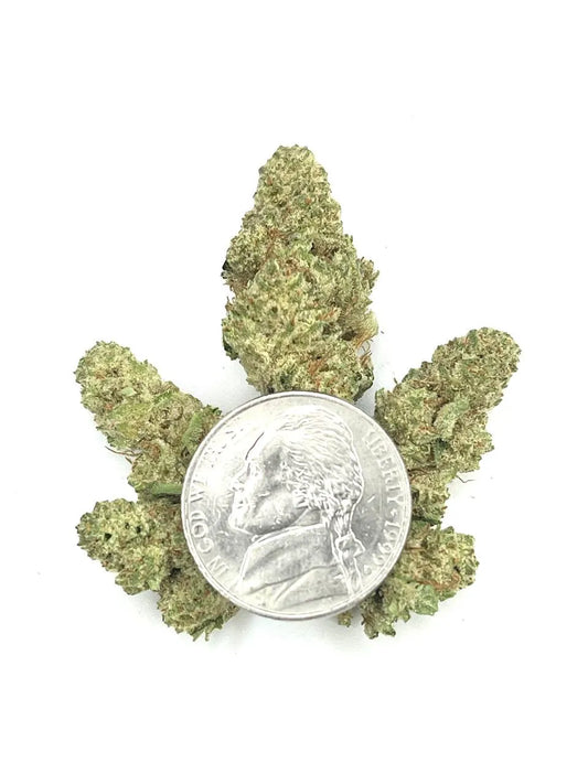Lambo OG THCa Light Dep. Smalls