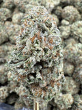 Lemon Tree