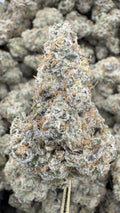 Mule Fuel