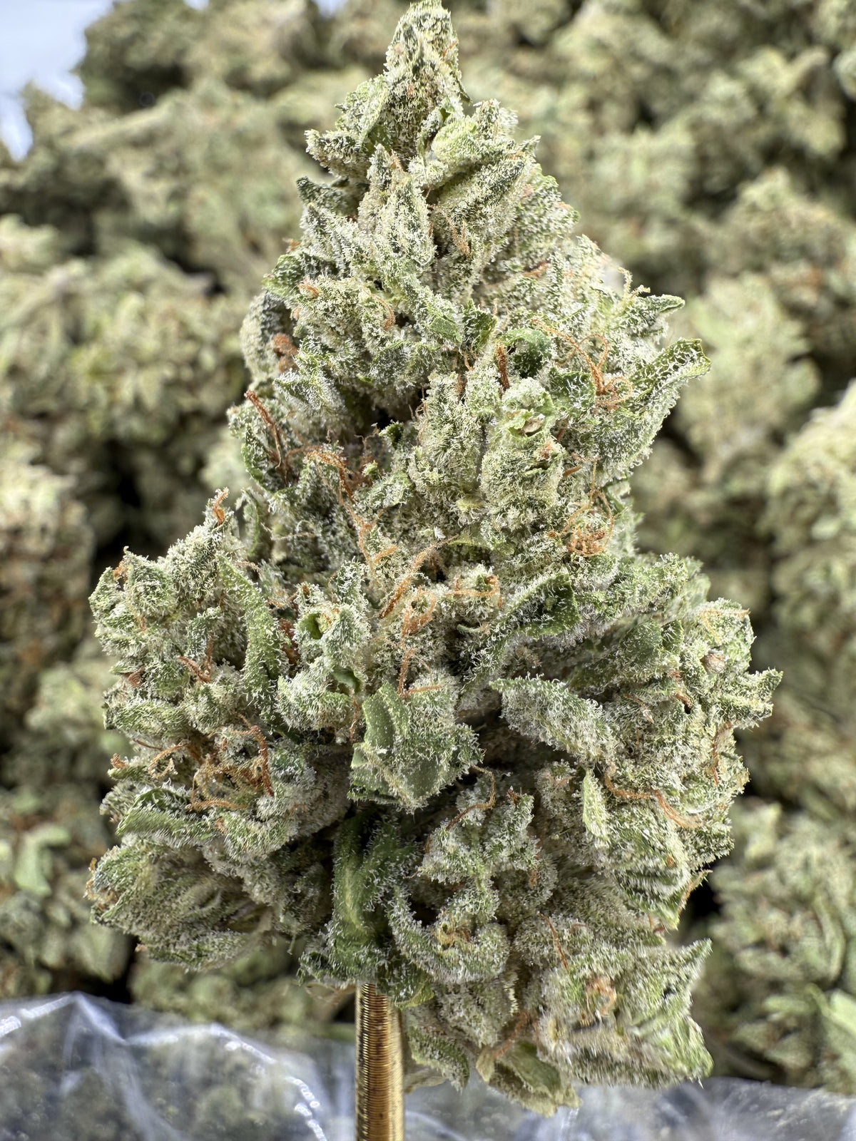 Pineapple Express