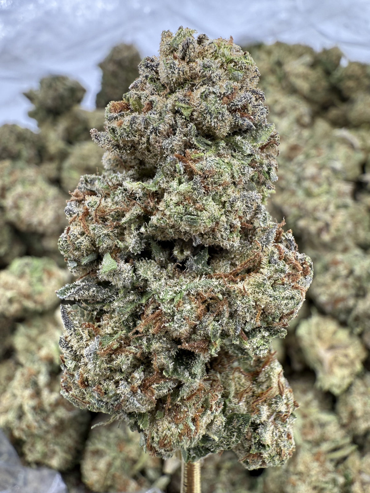 Pink Lemonade Strain – Sweet Citrus Berry Profile