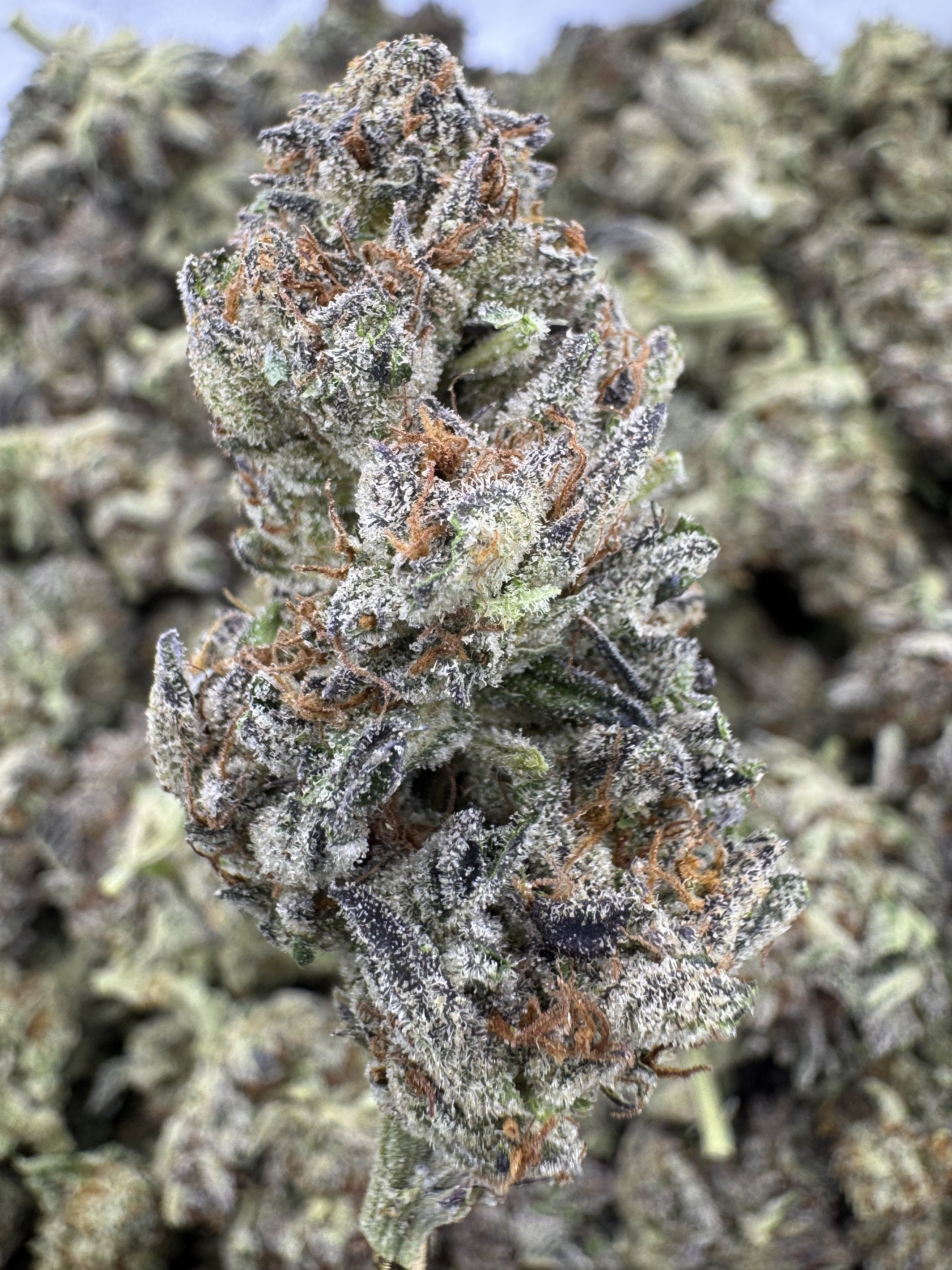 Platinum Grapes