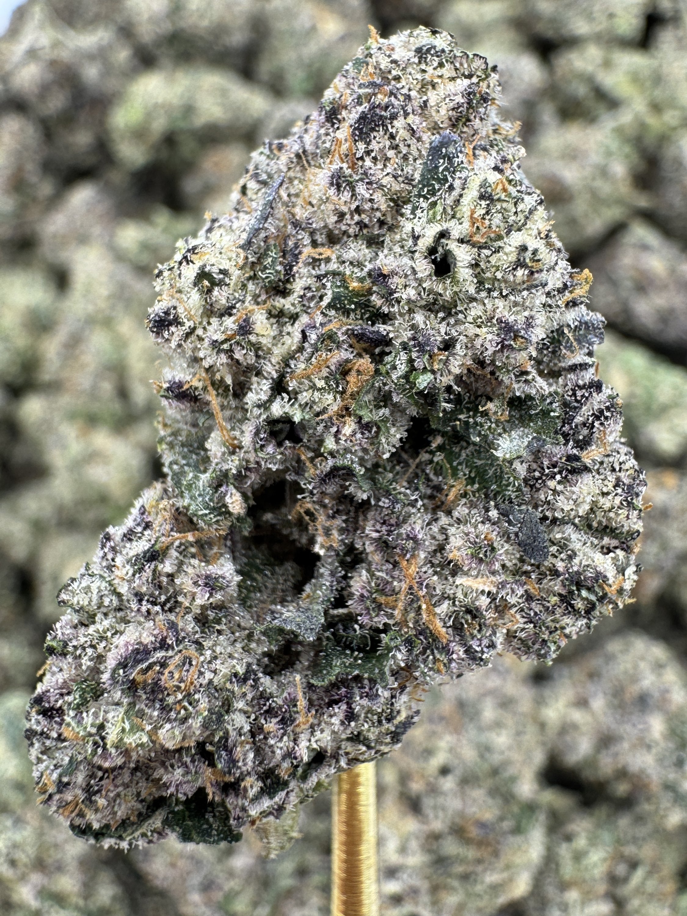 Purple Push Pop Strain – Sweet Grape Candy Flavor