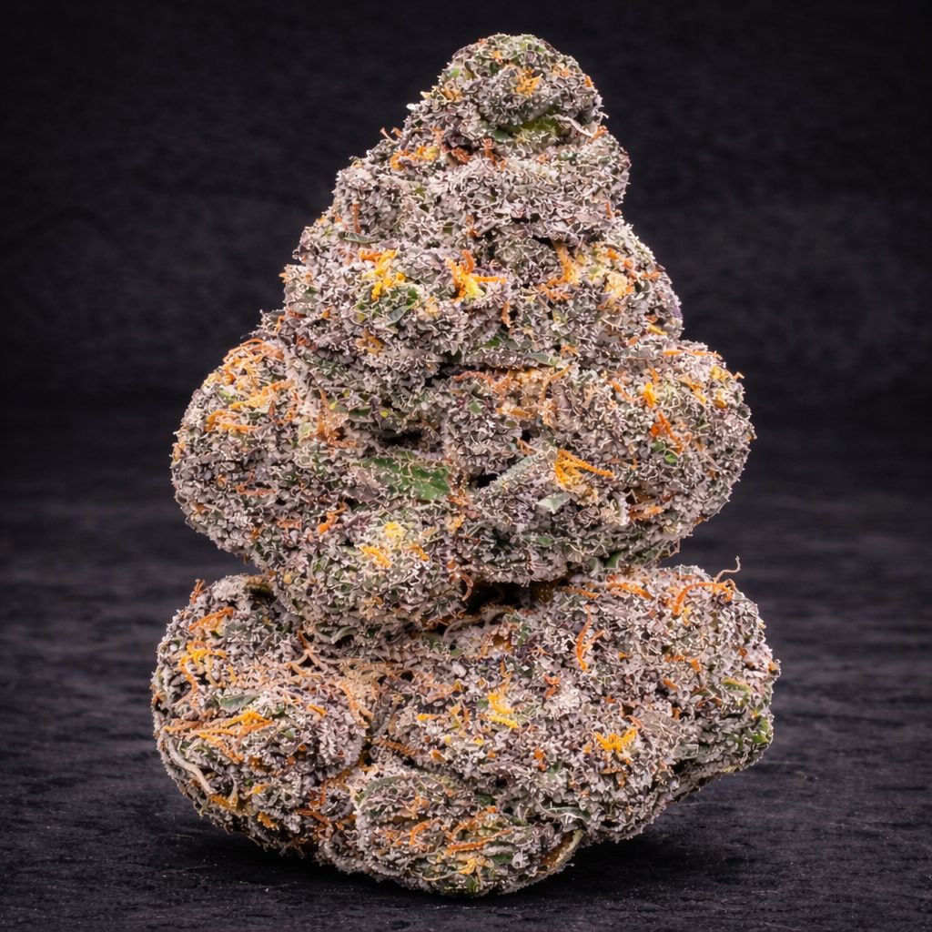 Sherlato | Exotic Indoor