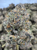 Sour Patch