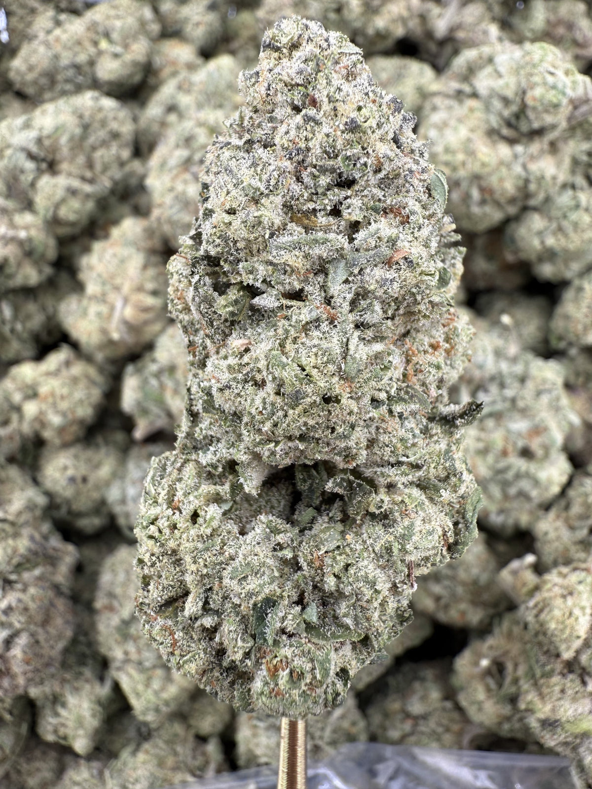 Sour Cherry Gelato