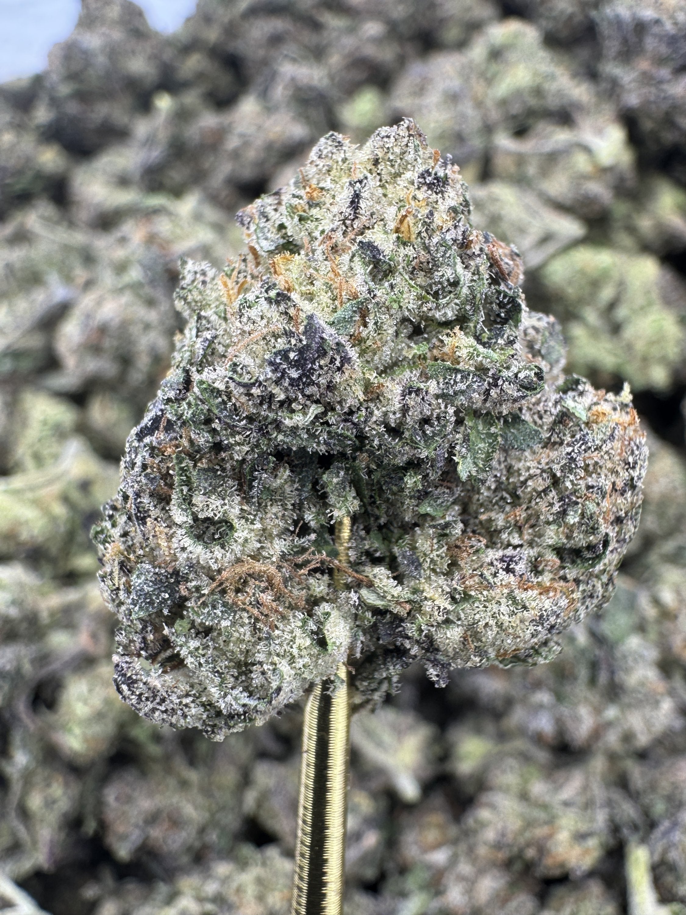 Strawberry Mimosa