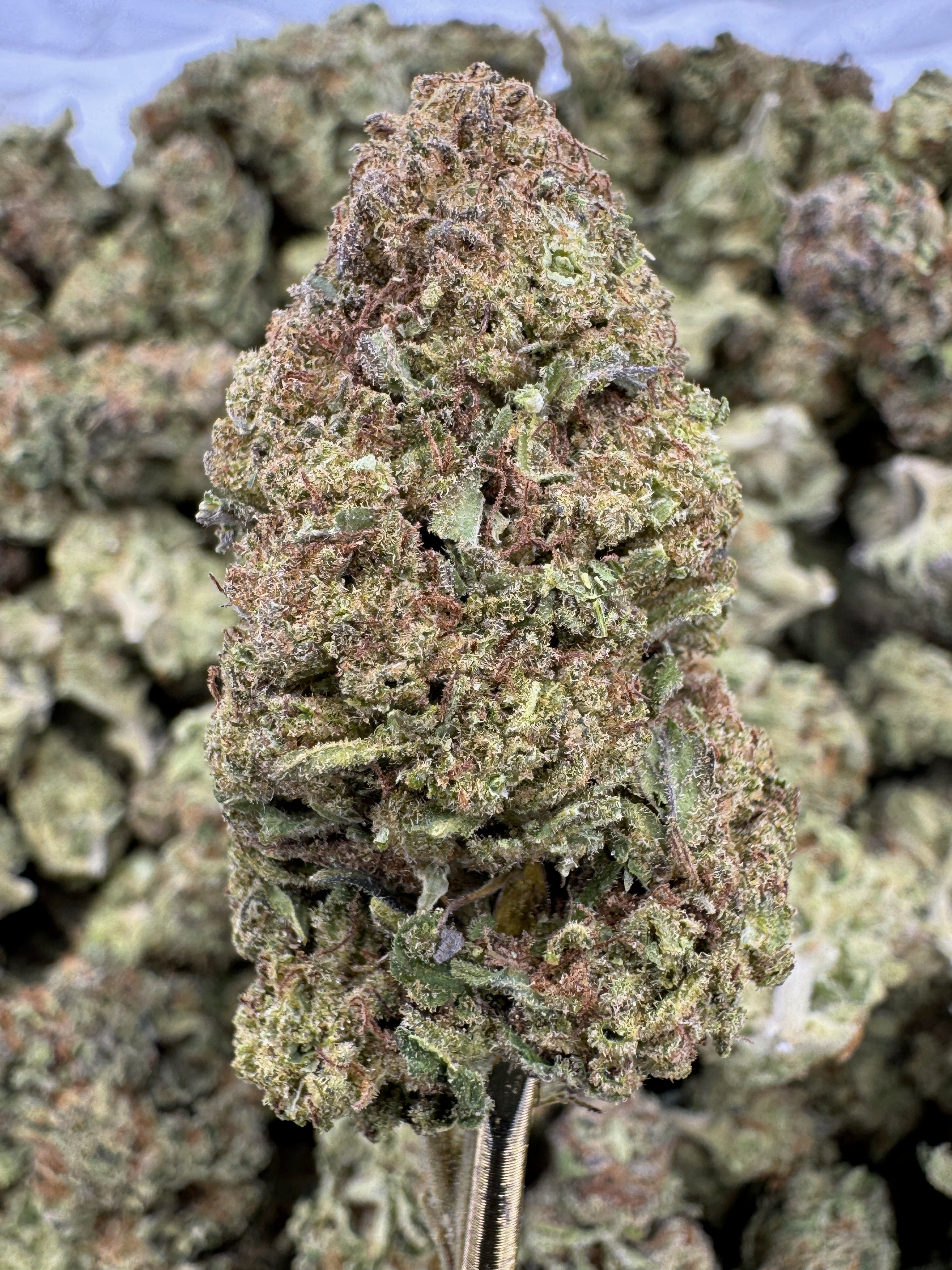 Sundae Driver