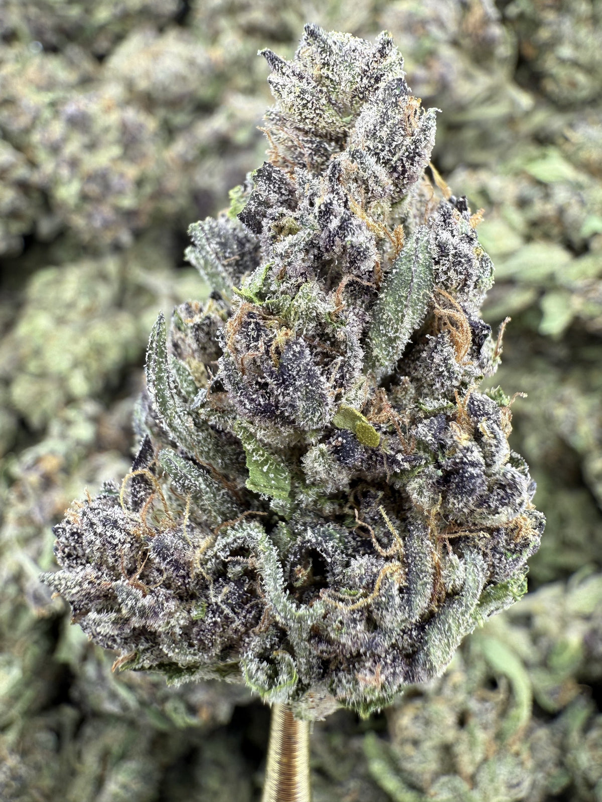 Sundae Driver