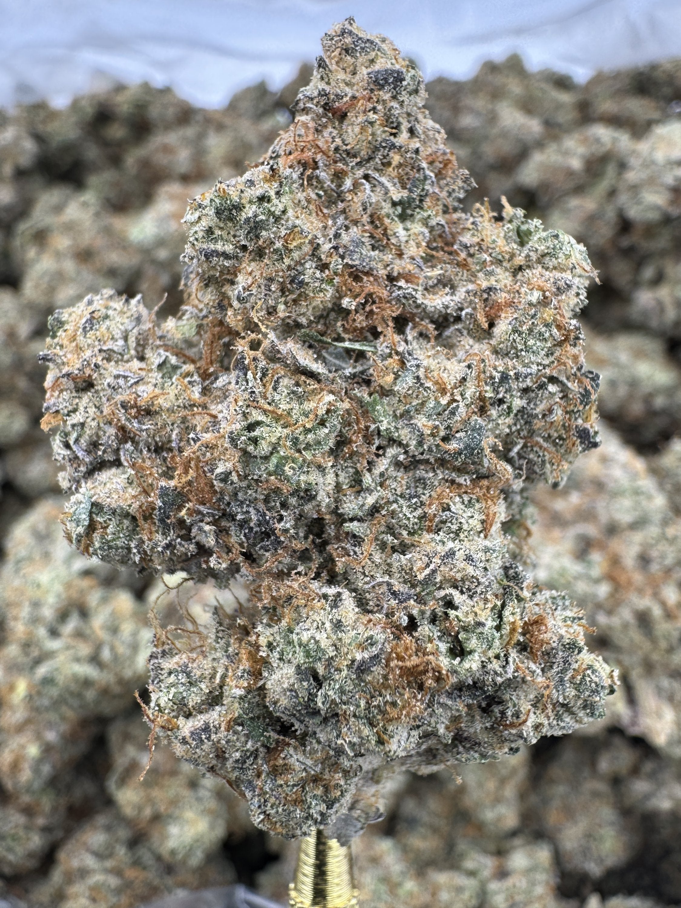 Sweet Tartz