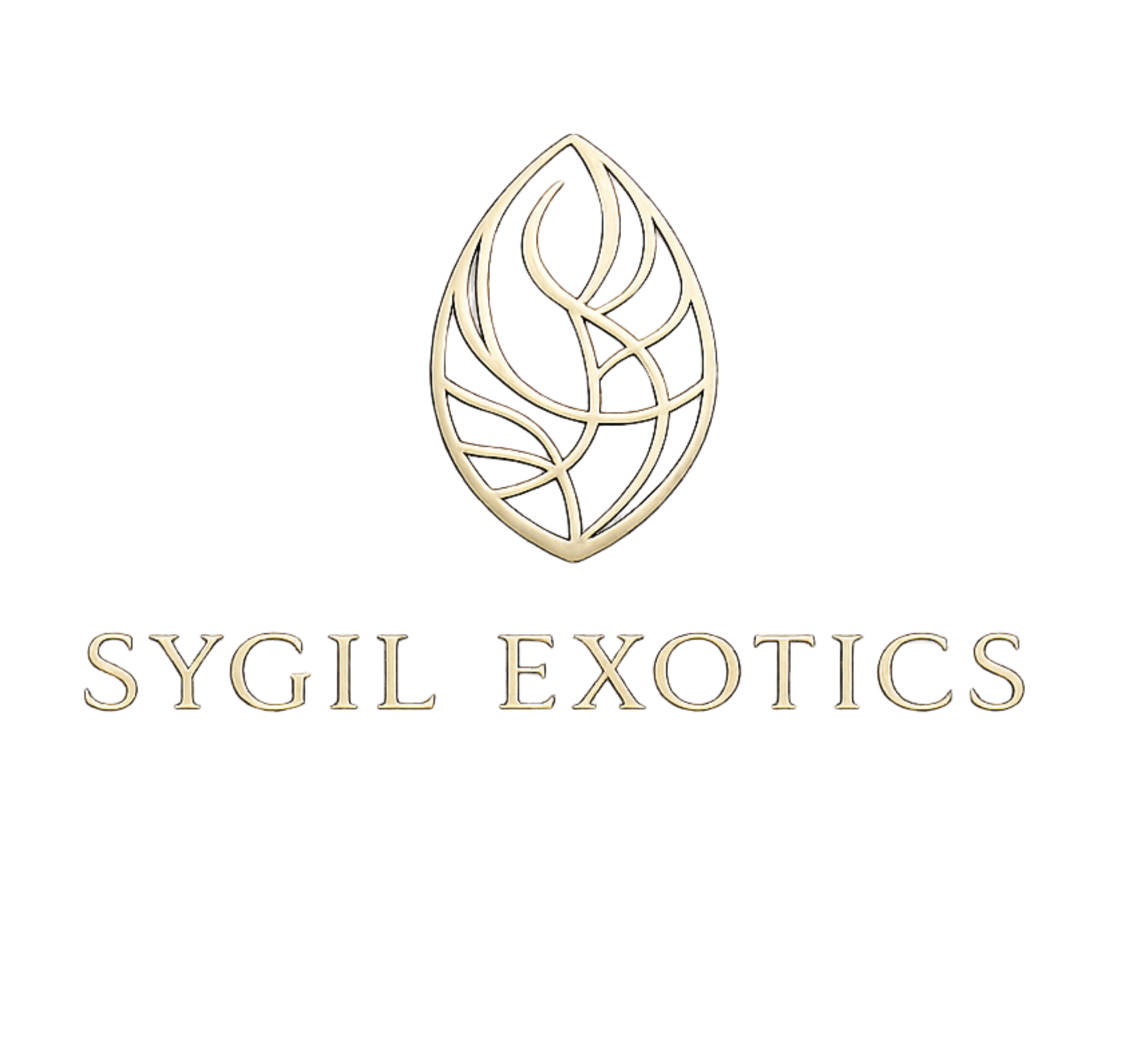 Sygil Exotics
