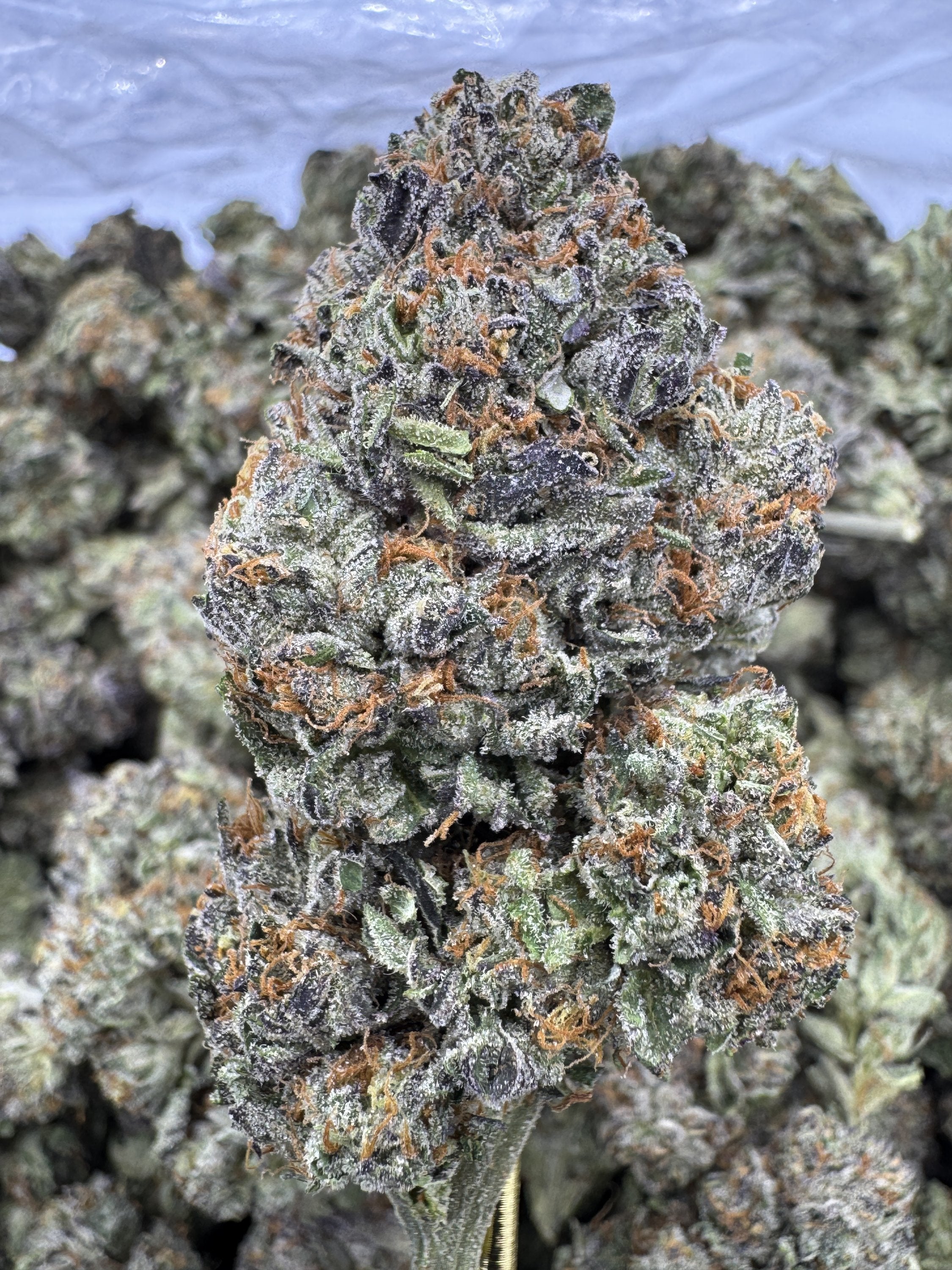 Triple Cake
