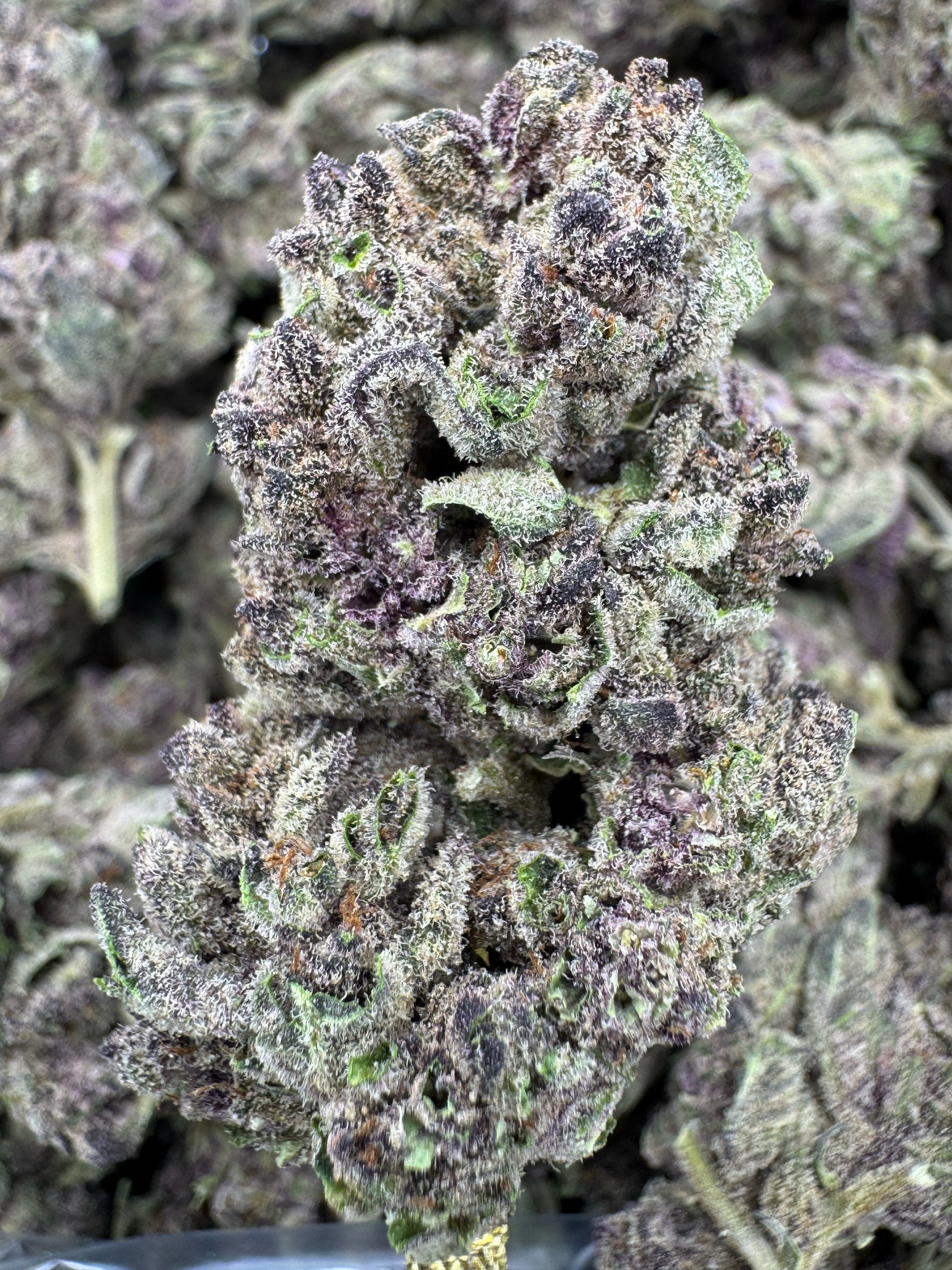 Tropicana Cookies
