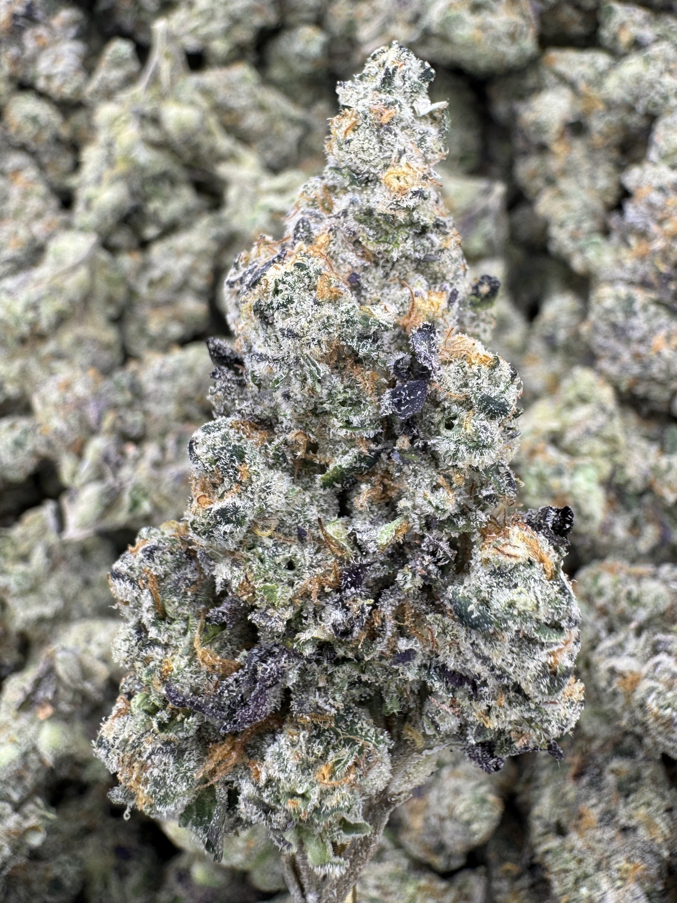 Venom OG